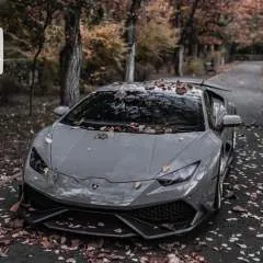 Riki photo on Jungo Live