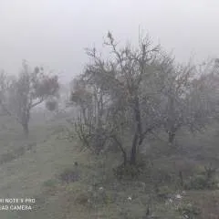 Vichise photo on Jungo Live