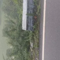 Vichise photo on Jungo Live