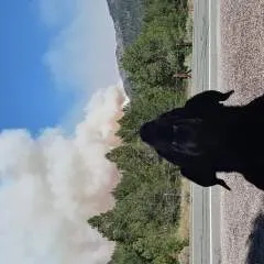 Dharma........ photo on Jungo Live