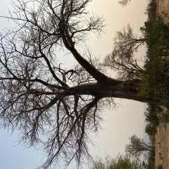 Gateway70 photo on Jungo Live