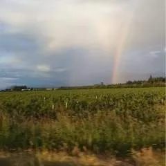 Hardone photo on Jungo Live