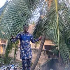 Kings........ photo on Jungo Live