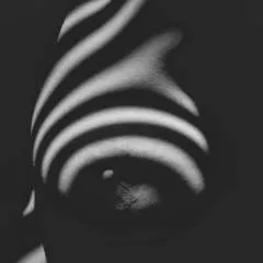 Bolla photo on Jungo Live