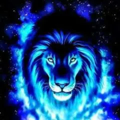 Brazileiros photo on Jungo Live