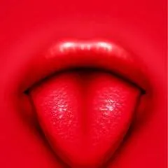 Wolfie photo on Jungo Live