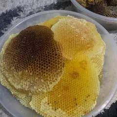 Hemo photo on Jungo Live