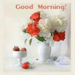 Mark photo on Jungo Live