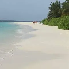 Findomxuk photo on Jungo Live