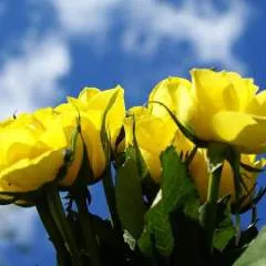 Ahsan Ali photo on Jungo Live