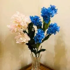 Ahsan Ali photo on Jungo Live