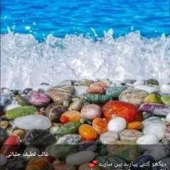 Jim photo on Jungo Live