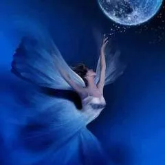 Dan photo on Jungo Live