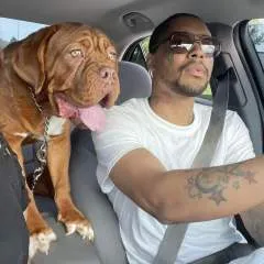 Tywilli photo on Jungo Live