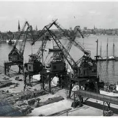 Ron photo on Jungo Live