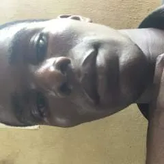 Stallion........ photo on Jungo Live