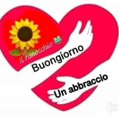 Logo photo on Jungo Live