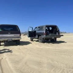 Hotdog photo on Jungo Live