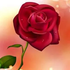 Rafi Pal photo on Jungo Live