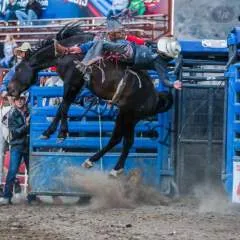 Jlgriffin.... photo on Jungo Live