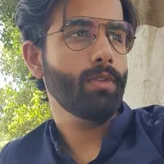 Stallion........ photo on Jungo Live