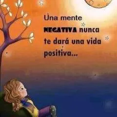 Ardo photo on Jungo Live