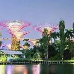 Kenson32 photo on Jungo Live