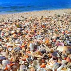 Richkelly photo on Jungo Live