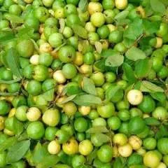 Riyaj photo on Jungo Live