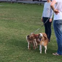 Joshf photo on Jungo Live