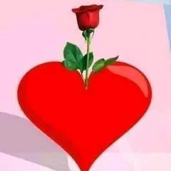 Raj photo on Jungo Live