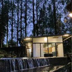 Ryn photo on Jungo Live