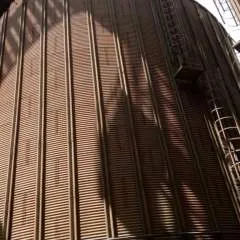 Same photo on Jungo Live