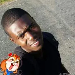 Ziggy photo on Jungo Live