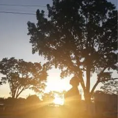 Copol photo on Jungo Live