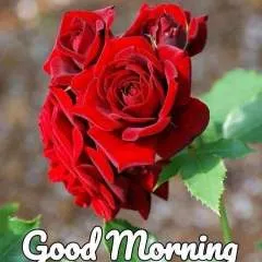 Ajay photo on Jungo Live