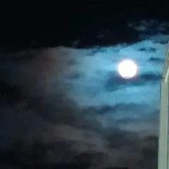 Johansome photo on Jungo Live