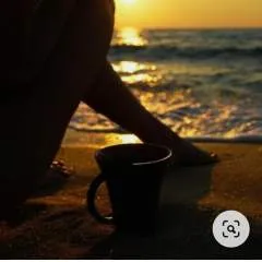 Vette photo on Jungo Live