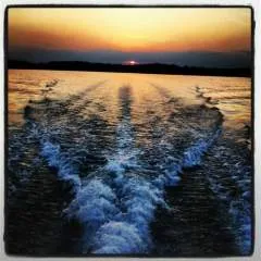 Vette photo on Jungo Live