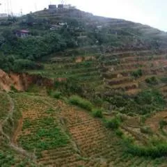 Crez photo on Jungo Live