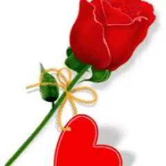 Vicki Jackson photo on Jungo Live