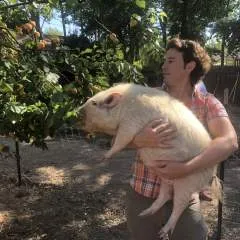 Pat photo on Jungo Live