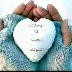 Said50 photo on Jungo Live