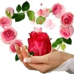 Said50 photo on Jungo Live