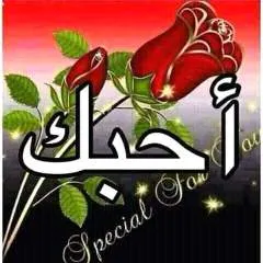 Said50 photo on Jungo Live