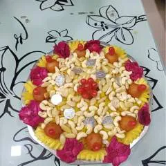 Steve photo on Jungo Live