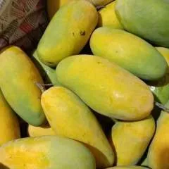 Kapil photo on Jungo Live