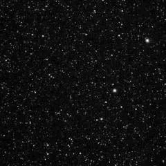 Bruno photo on Jungo Live