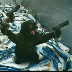 Bruno photo on Jungo Live