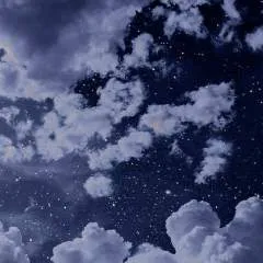 Bruno photo on Jungo Live